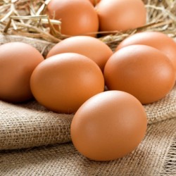 Αυγά Ελευθέρας βοσκής 6αδα